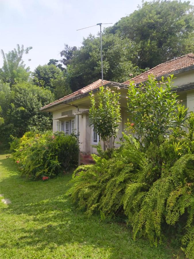 Weeragiri Home Stay Mirissa Exterior foto