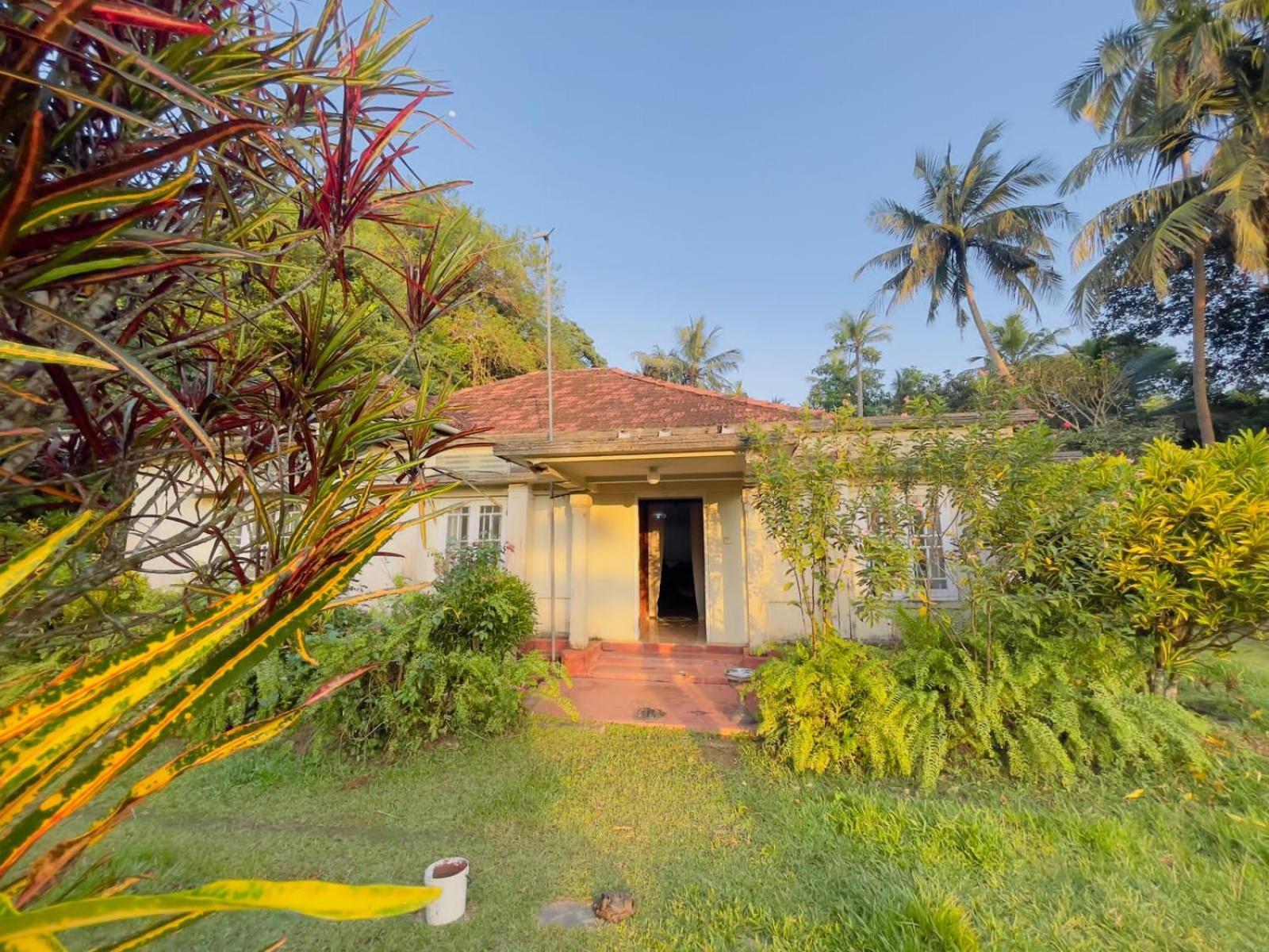 Weeragiri Home Stay Mirissa Exterior foto
